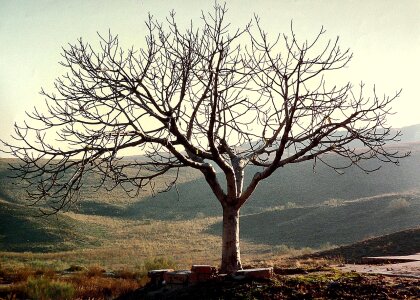 Nature environment horizon