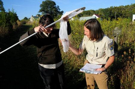 USFWS biologists tag Monarch butterfly