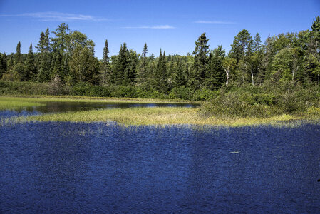 Landscape across the Peshekee River at Van Riper State Park, Michigan photo