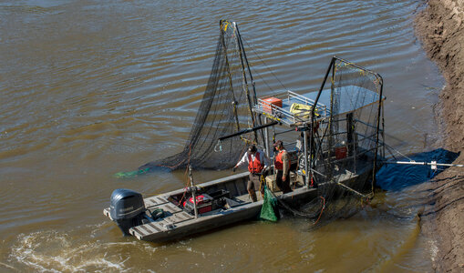 U.S. Fish and Wildlife Service boat, The Magna Carpa, with catch of invasive carp-1 photo