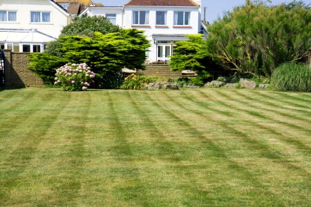 Mown mowed stripes