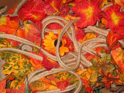 Store season autumn