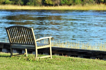 Bench grass plants natural park