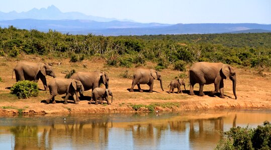 Africa wilderness national park