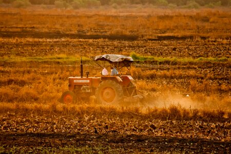 Agriculture crops farmer photo