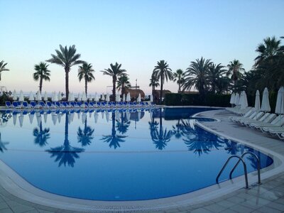 Swimming pool blue palm trees photo
