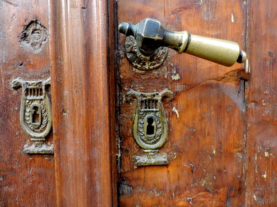 Baroque brass front door photo