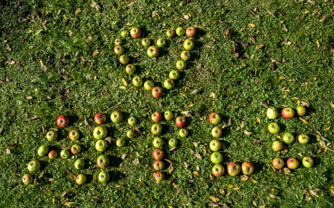 Healthy letters word