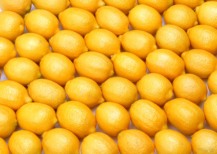 many fresh raw orange photo