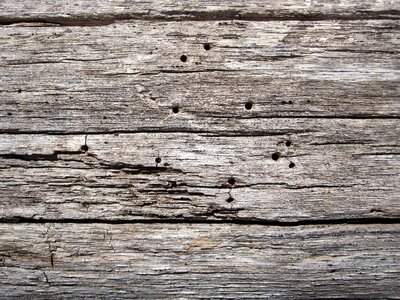 Old pattern texture