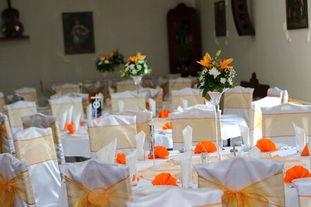 Chairs elegance dining area