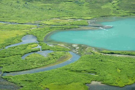 Flats greenery lakes