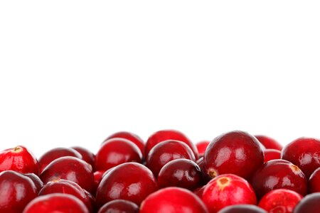 Eating food fresh