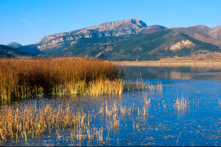 Rocky Mountain Scenery West of Montana