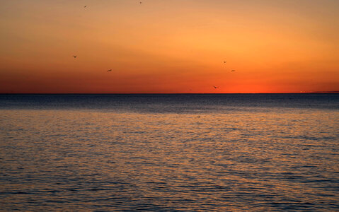 Daybreak over Lake Michigan at Point Beach, Wisconsin photo