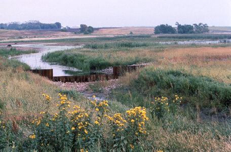 Wetlands, Weir Water Lever Control