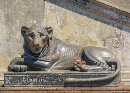 The vatican italy rome photo