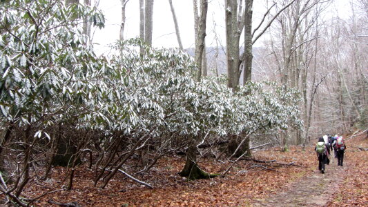 Dolly Sods Big Stonecoal Trail Winter Camping photo