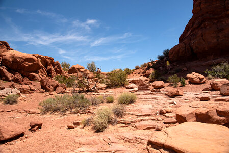 Rocks and Grasses in the desert