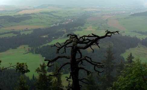 Countryside view panorama photo