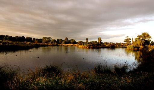 Pond at Styx Mill Conservation Reserve landscape in New Zealand photo