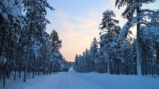 Snowy landscape in Finland photo