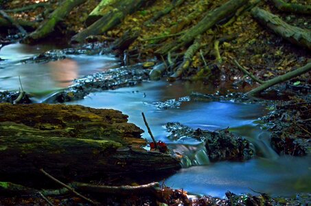 River idyll nature
