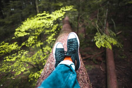 Relaxing In Nature
