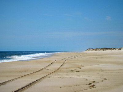 Tire tracks in the sand-1 photo