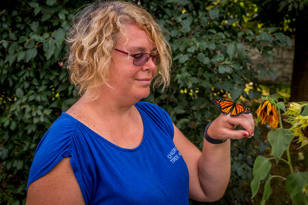 Monarch butterfly on woman's hand-3