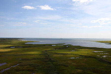 Marsh at Wertheim National Wildlife Refuge