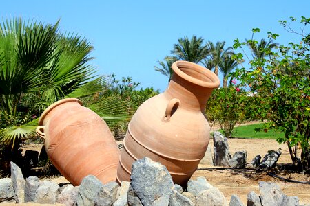 Garden summer nature