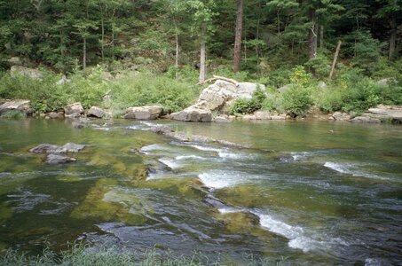 Brook mountain 