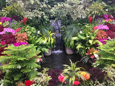 Colorful flowers garden waterfall