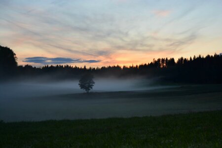 Abies countryside field photo