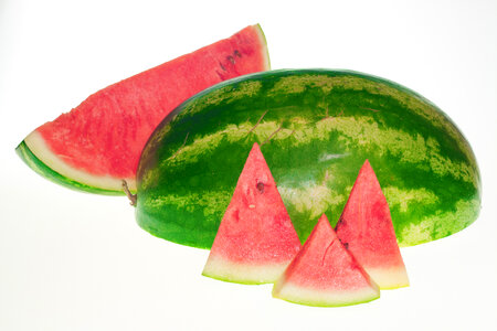 watermelon photo