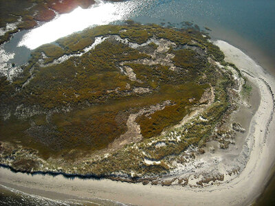 Aerial of Little Beach Island photo