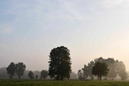 Dawn daylight field photo