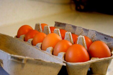 Carton egg egg box