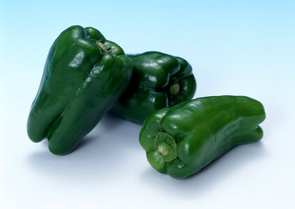 fresh green sweet pepper vegetables photo