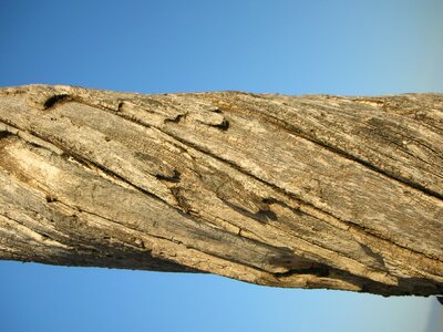 Wood texture natural old wooden