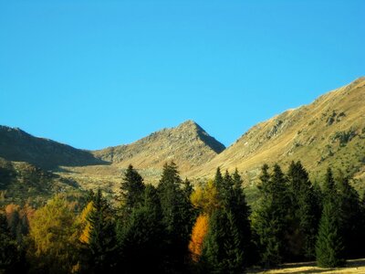 Mountains forest trees