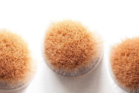 Brush soft cosmetics