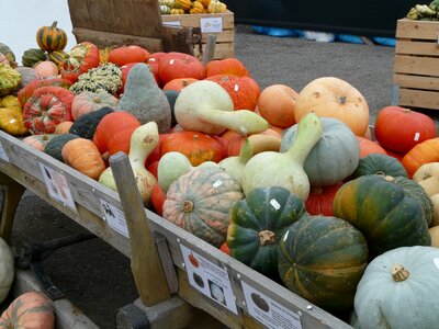 Sale market vegetables photo