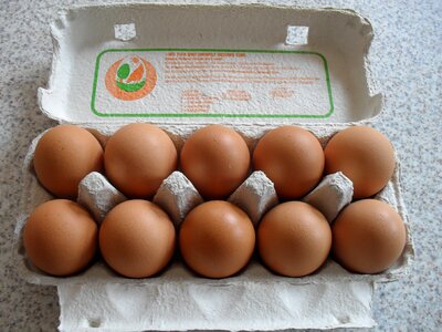 Proteins chicken eggs brown photo