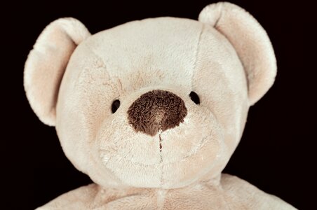 Stuffed animal cute soft photo