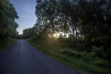 Late Afternoon sun setting beyond the trees at Cross Plains State Park photo