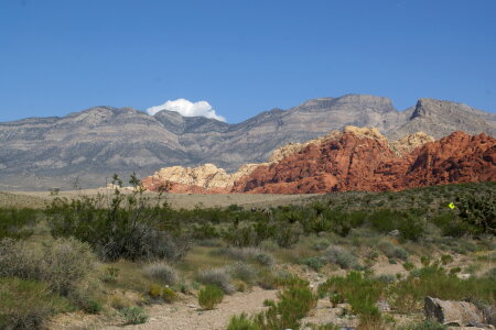 Red Rock Canyon scenic drive photo