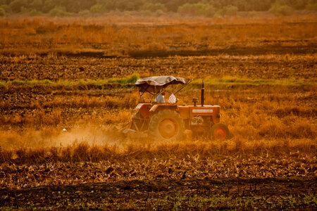 Farming In India