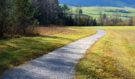 Lane dirt track green photo